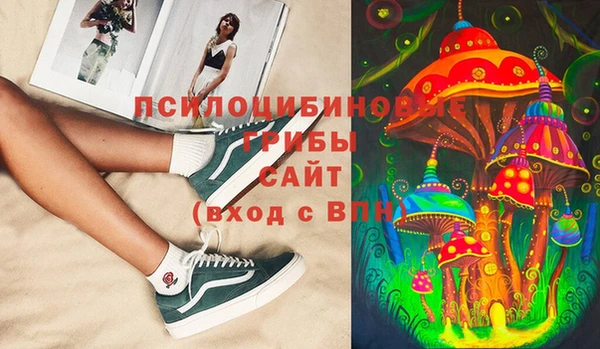соль курить ск Арсеньев
