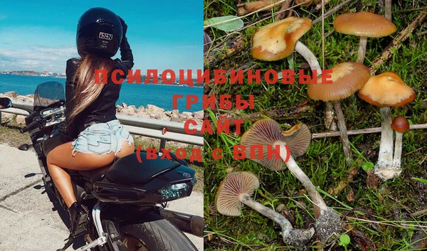 Альфа ПВП Армянск