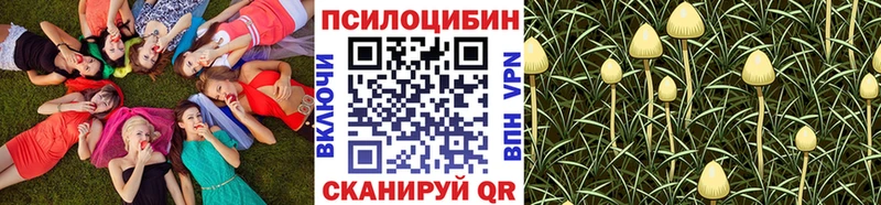 Псилоцибиновые грибы Magic Shrooms Павловская
